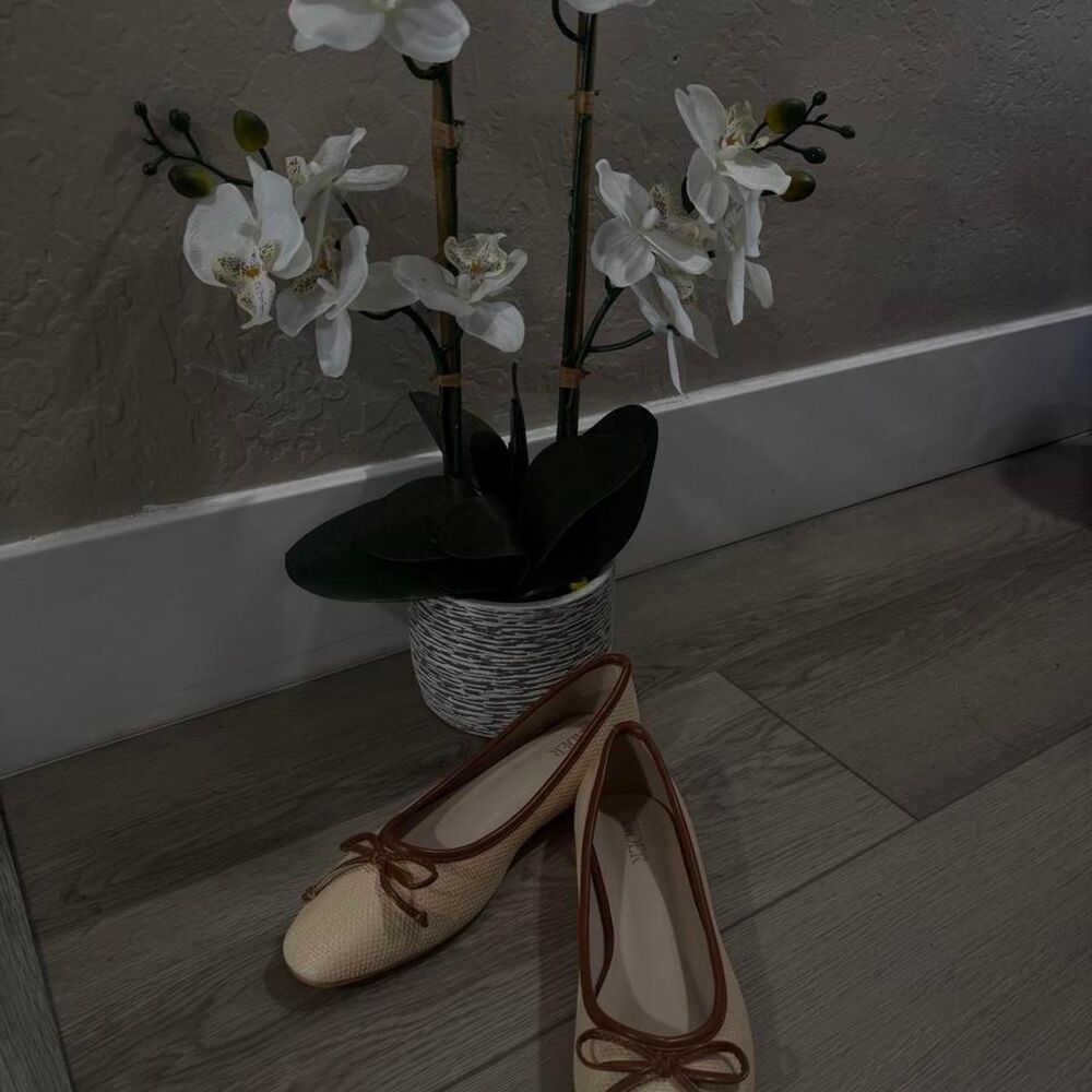 Cider Women's Tan and Cream Ballet-shoes